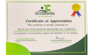 Pelican-Certificate-Of-Appreciation